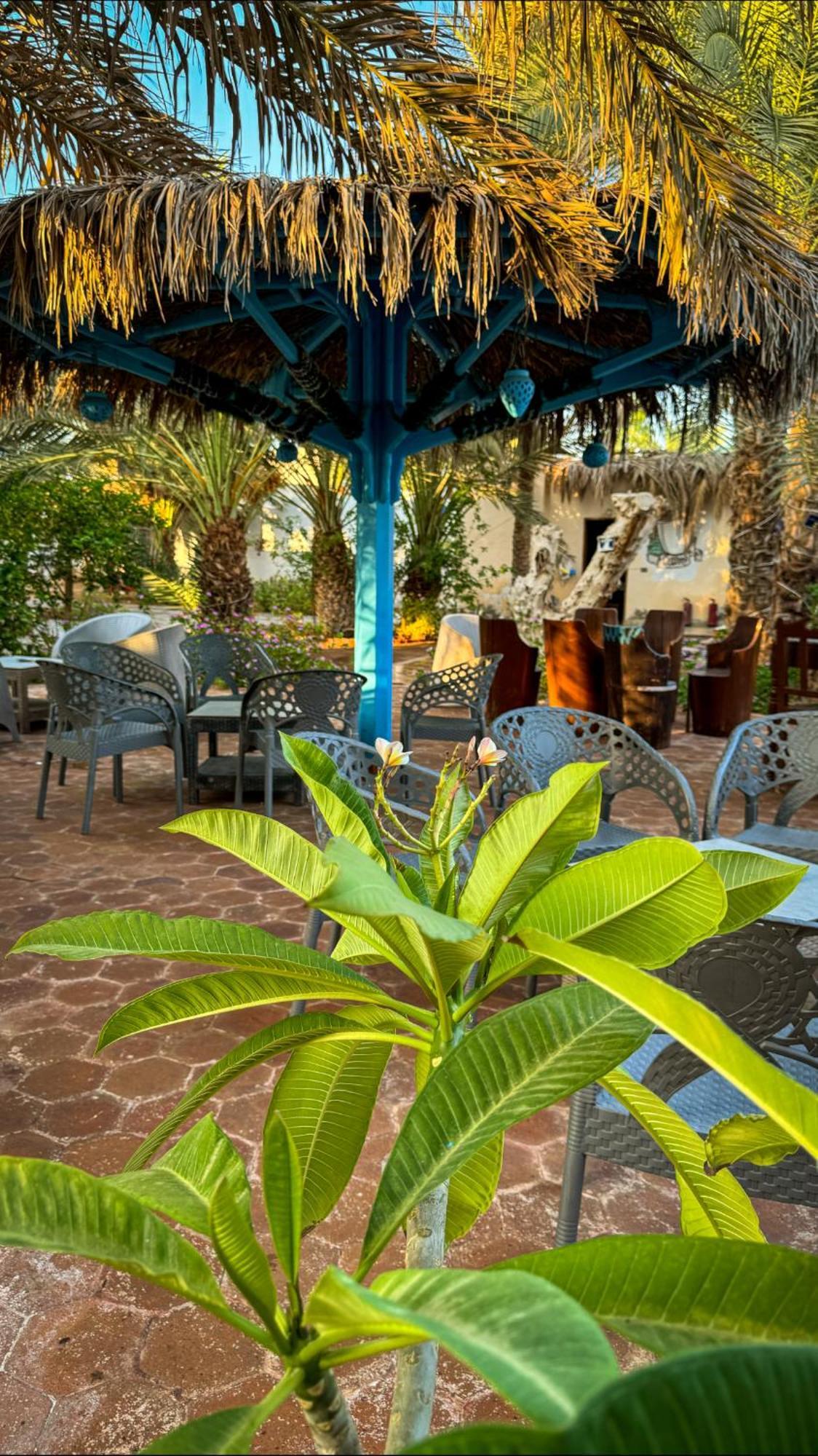 Hotel Miramar Camp Dahab Exterior foto