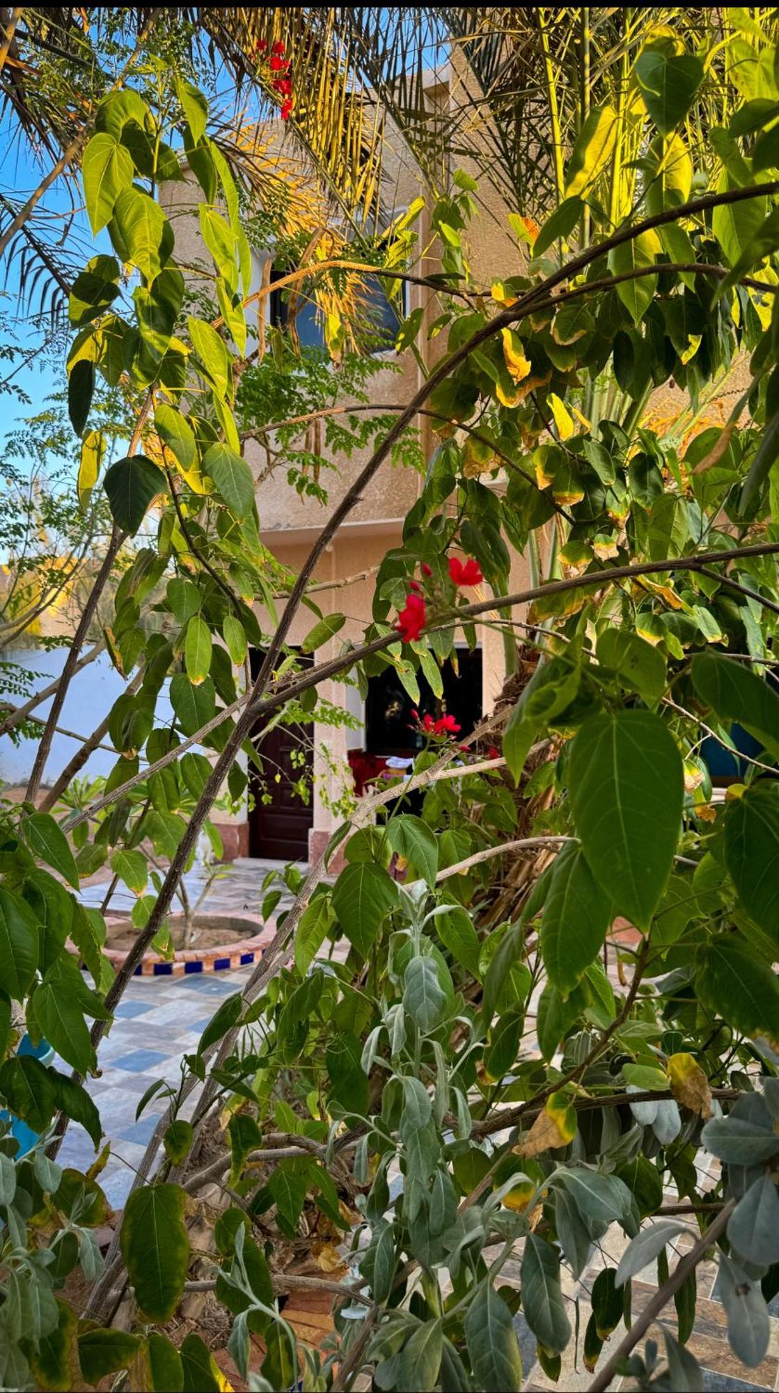 Hotel Miramar Camp Dahab Exterior foto