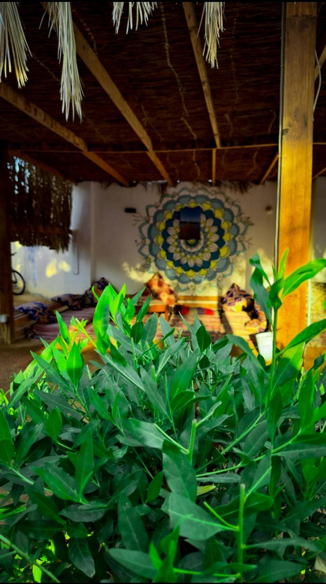 Hotel Miramar Camp Dahab Exterior foto